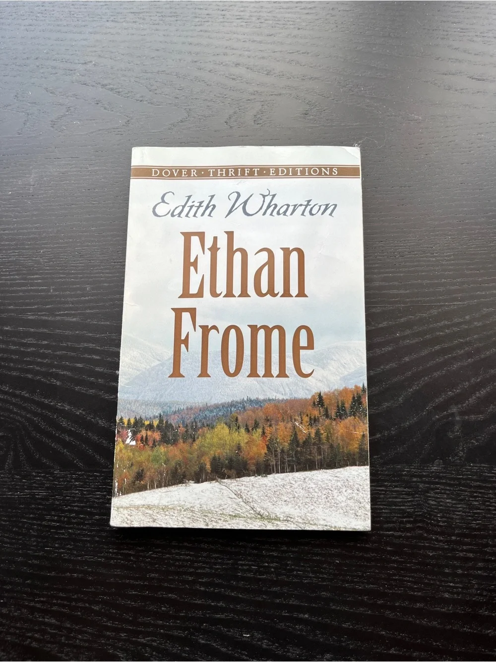 Dover Thrift Editions Edith Wharton Ethan Frome Softcover Novel Book